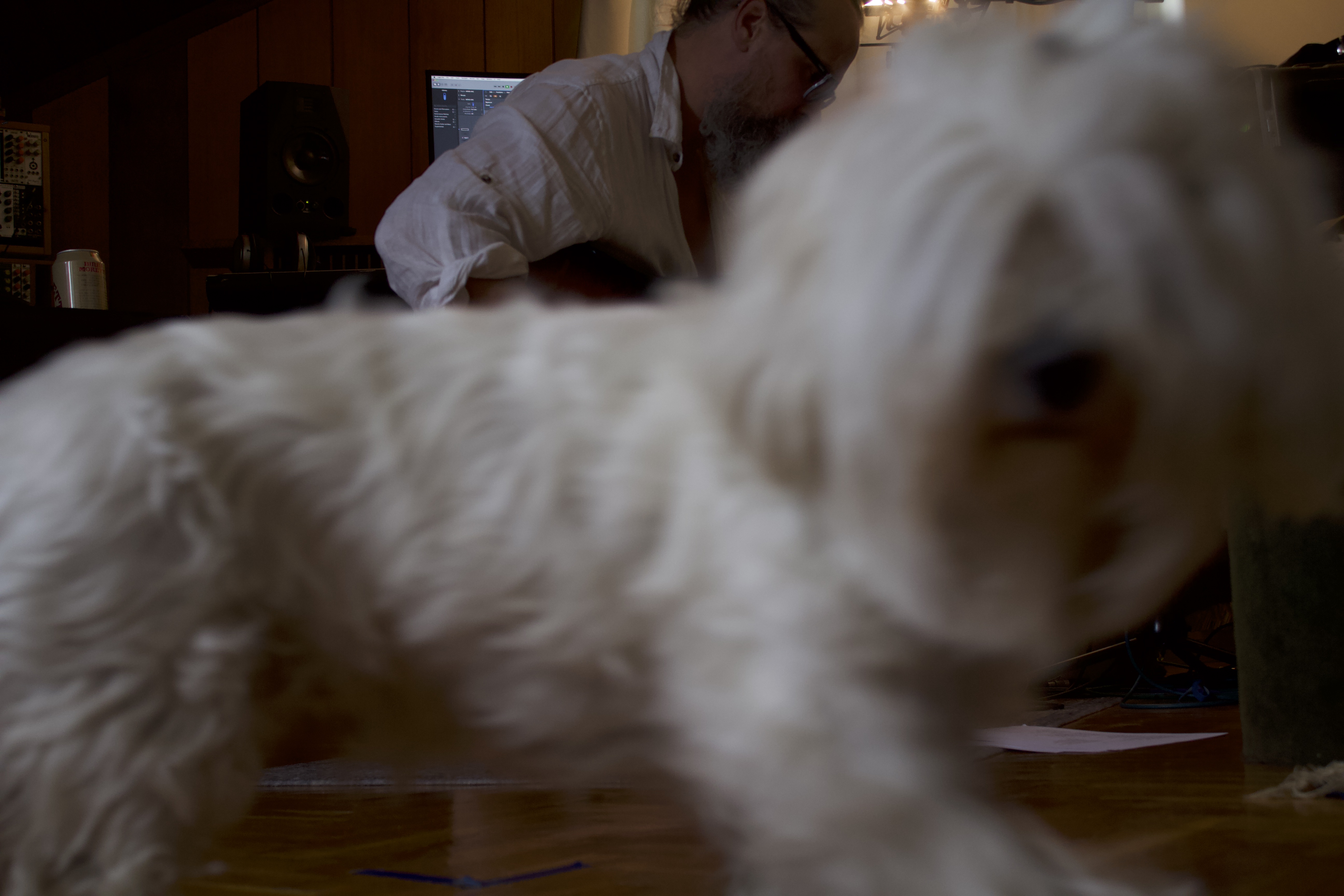 Dave making music at home while Molly walks past the camera